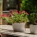Een mooie selectie van plantenbakken in verschillende stijlen en maten voor uw tuin of balkon.