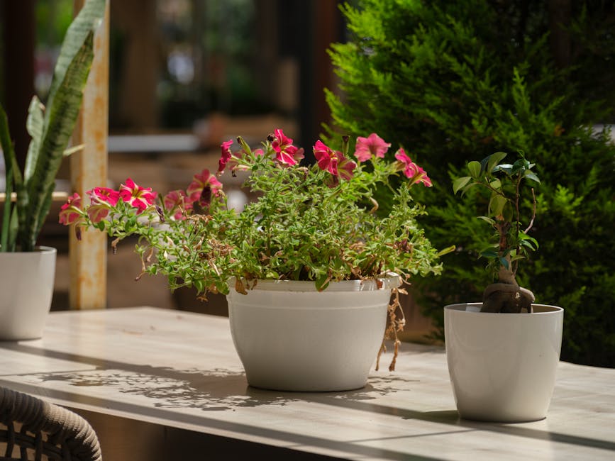 Een mooie selectie van plantenbakken in verschillende stijlen en maten voor uw tuin of balkon.